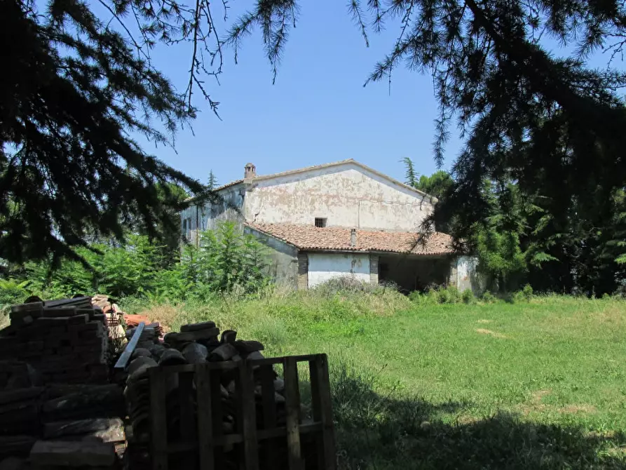 Immagine 24 di Rustico / casale in vendita  a Cesena
