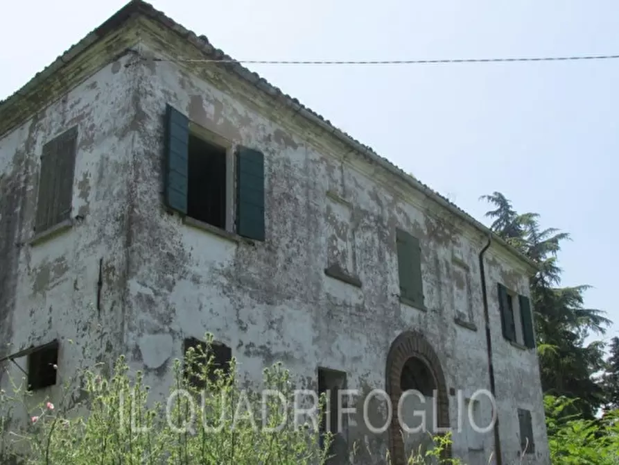 Immagine 1 di Rustico / casale in vendita  a Montiano