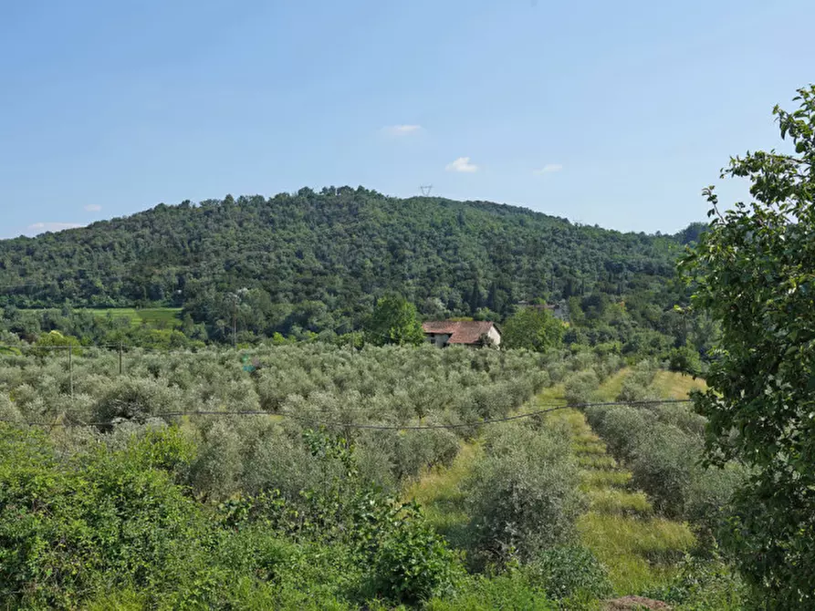 Immagine 2 di Appartamento in vendita  a Roè Volciano