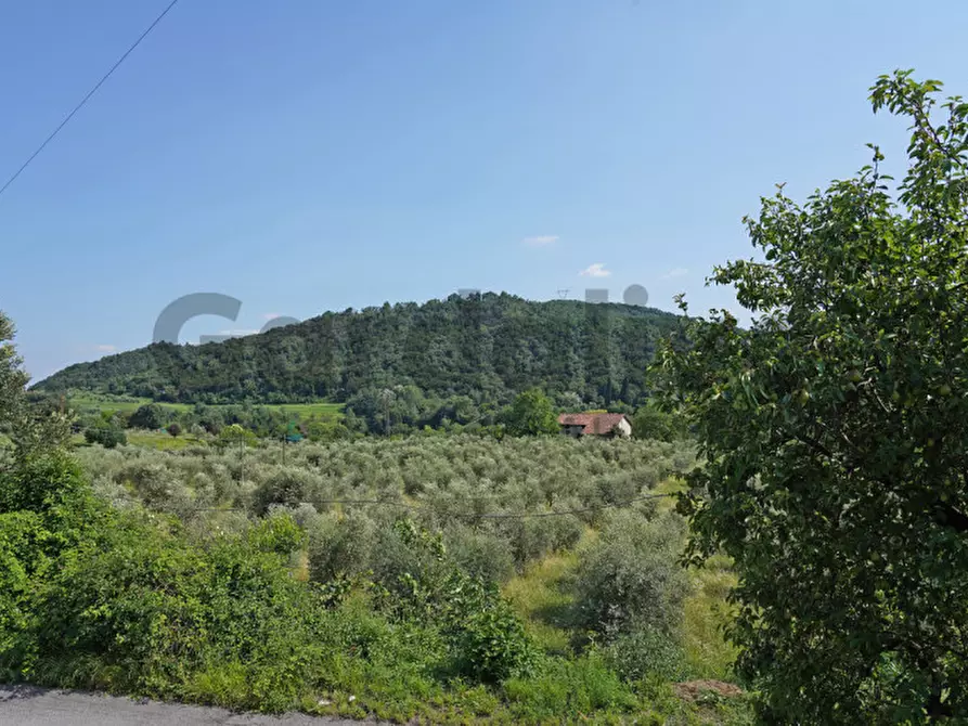 Immagine 4 di Appartamento in vendita  a Roè Volciano