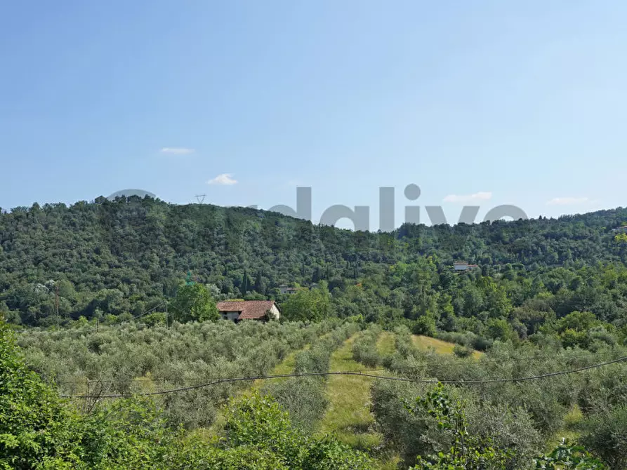 Immagine 5 di Appartamento in vendita  a Roè Volciano