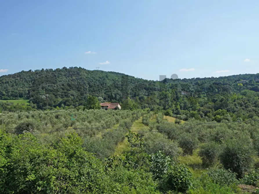 Immagine 6 di Appartamento in vendita  a Roè Volciano