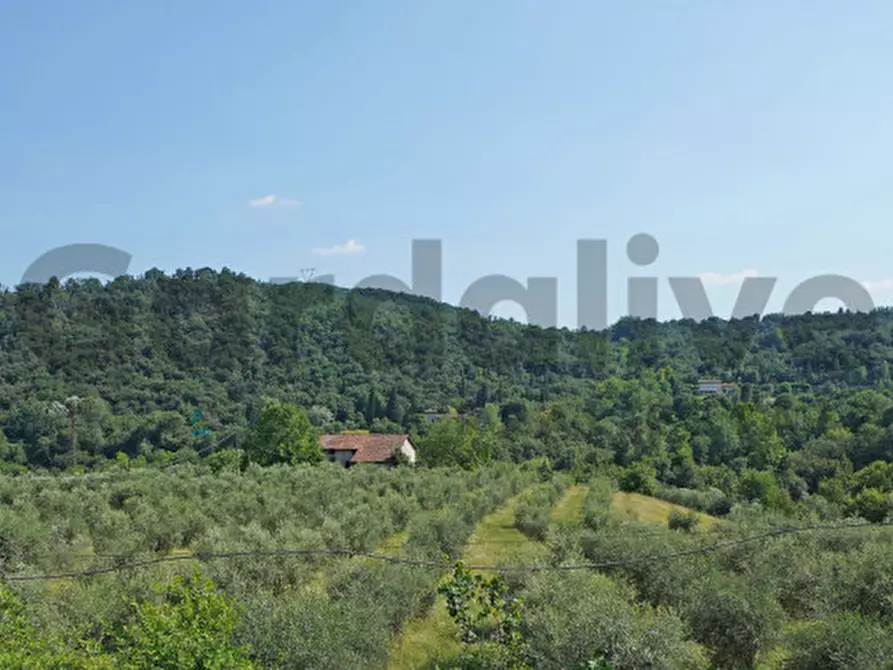 Immagine 7 di Appartamento in vendita  a Roè Volciano