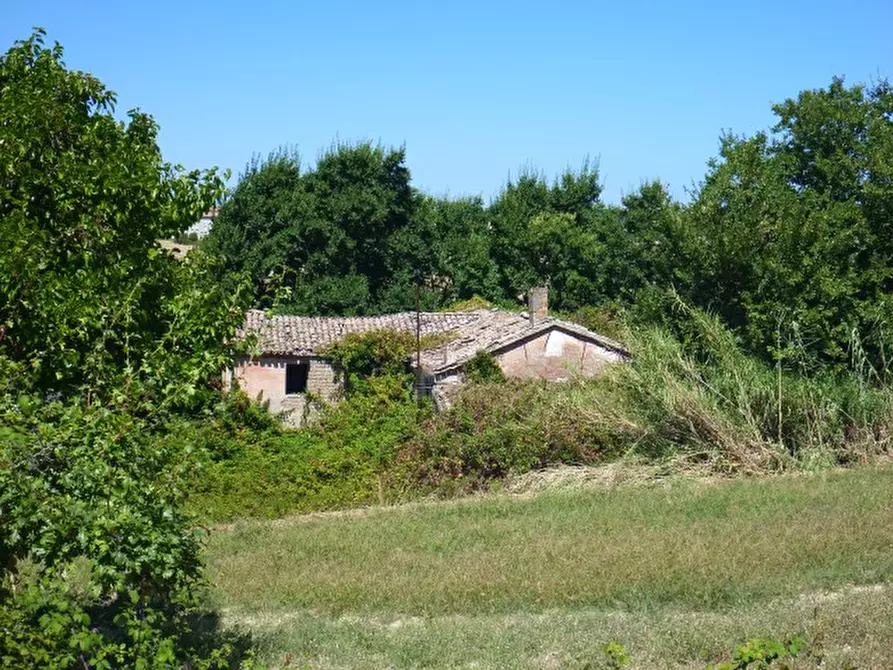 Immagine 2 di Rustico / casale in vendita  in via della chiusa a San Costanzo