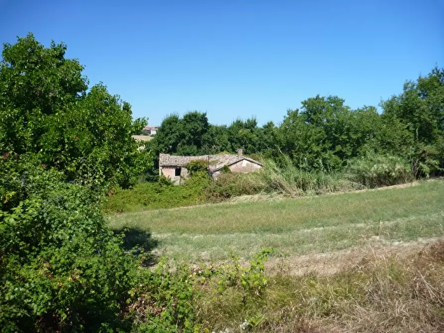 Immagine 3 di Rustico / casale in vendita  in via della chiusa a San Costanzo