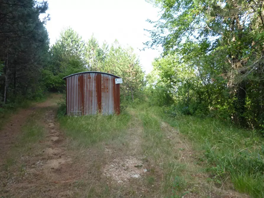 Immagine 2 di Terreno in vendita  a Tregnago