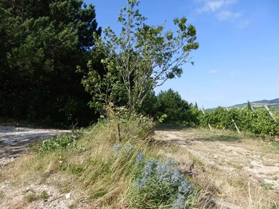 Immagine 9 di Terreno in vendita  a Tregnago