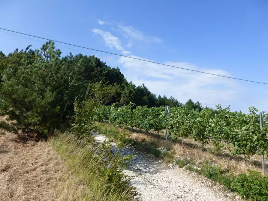 Immagine 10 di Terreno in vendita  a Tregnago