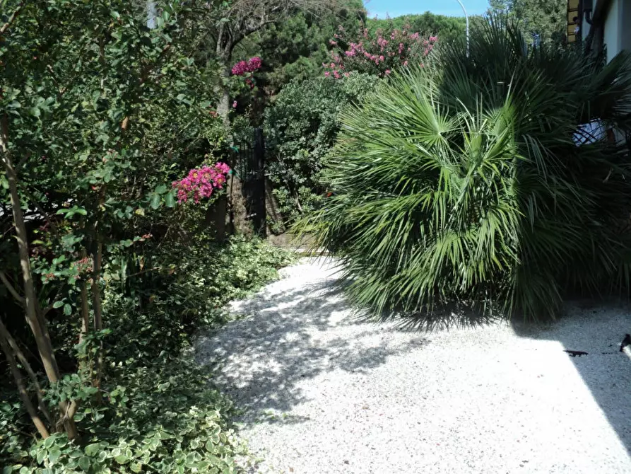 Immagine 9 di Appartamento in vendita  in VIA PONCHIELLI 21 a Comacchio