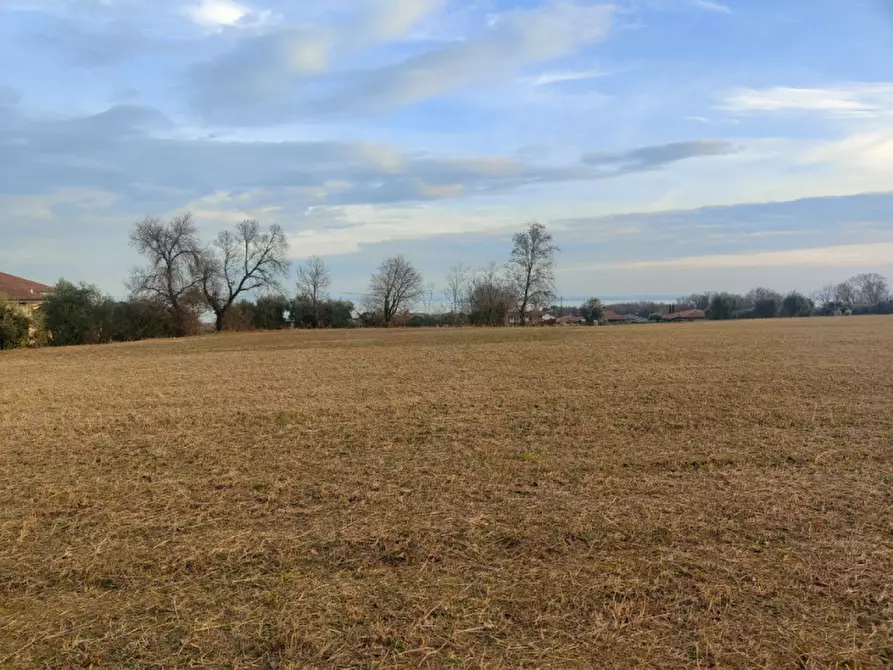 Immagine 3 di Terreno in vendita  in via rovadella a Lonato del Garda