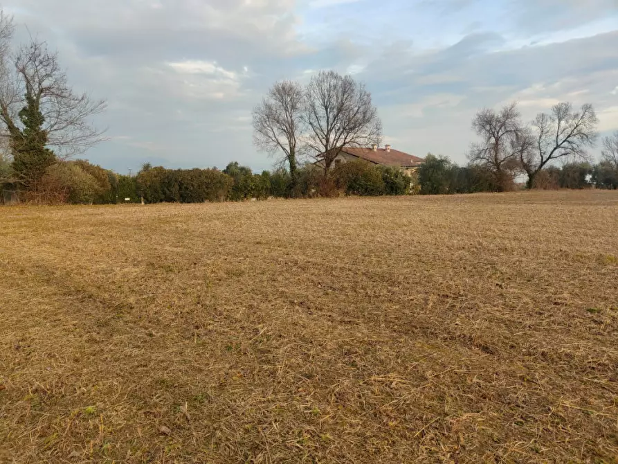Immagine 4 di Terreno in vendita  in via rovadella a Lonato del Garda