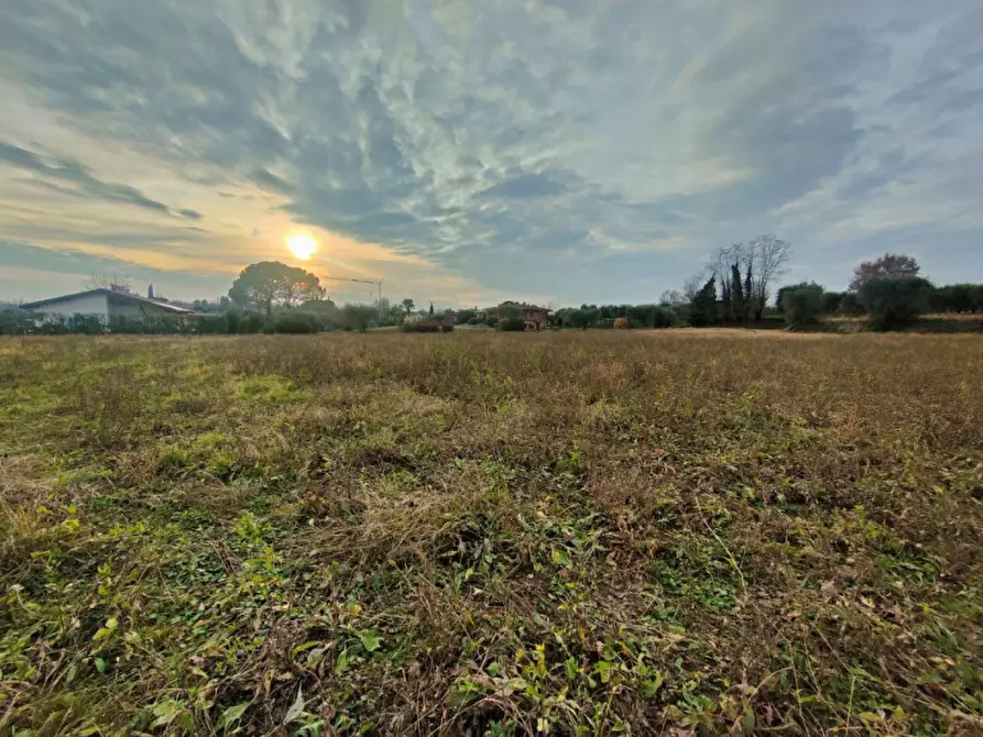Immagine 6 di Terreno in vendita  in via rovadella a Lonato del Garda