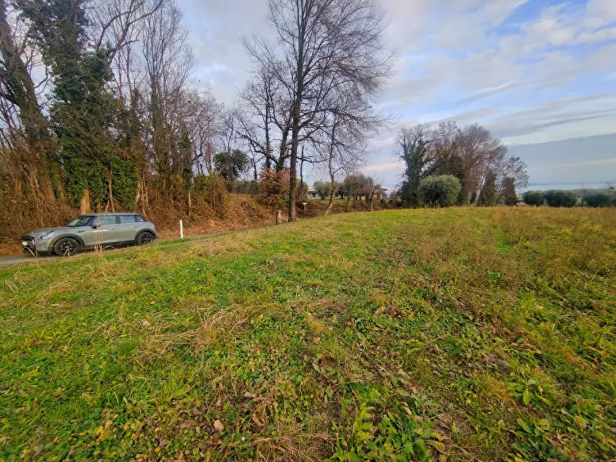 Immagine 7 di Terreno in vendita  in via rovadella a Lonato del Garda