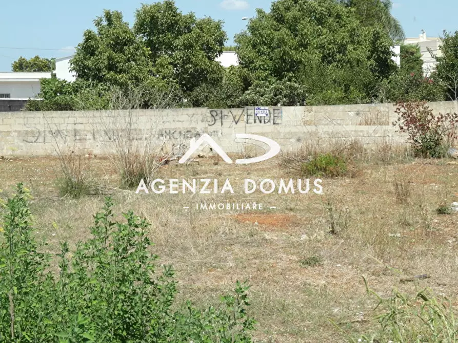 Immagine 2 di Terreno in vendita  in Via F.Crispi a Racale