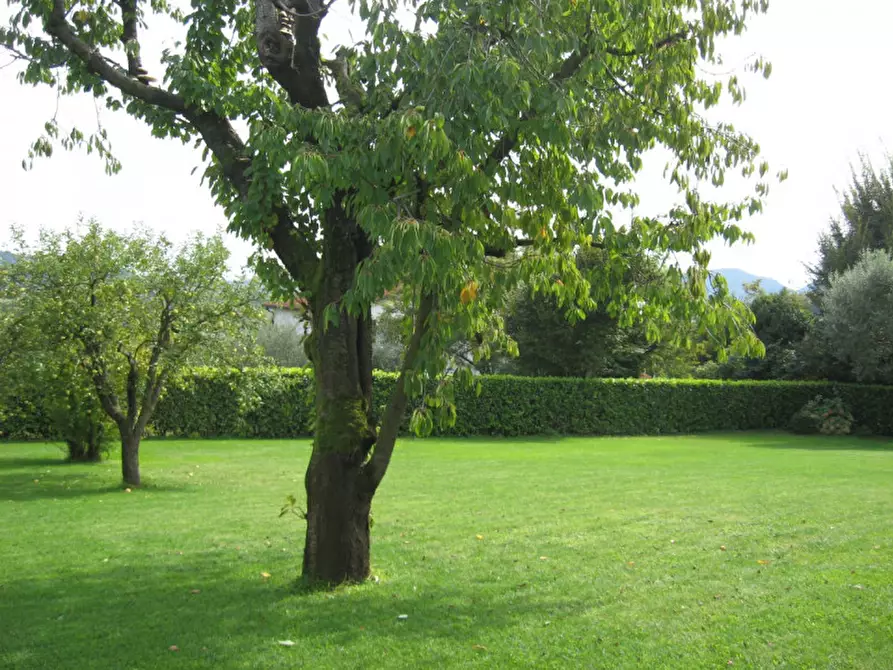 Immagine 6 di Villa in affitto  in telo, tramonte,  via pozzacale a Abano Terme