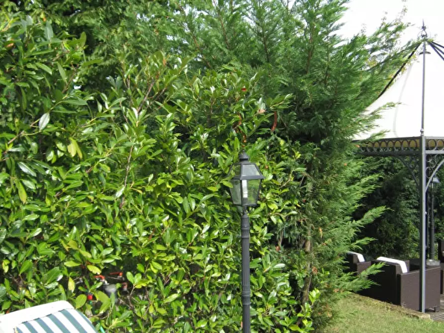 Immagine 9 di Villa in affitto  in telo, tramonte,  via pozzacale a Abano Terme