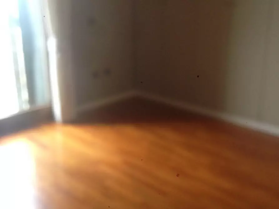 Immagine 27 di Villa in affitto  in telo, tramonte,  via pozzacale a Abano Terme