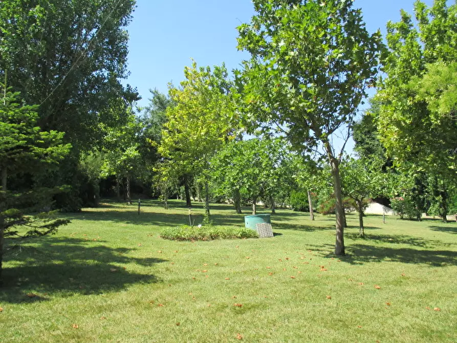 Immagine 6 di Casa indipendente in vendita  a Senigallia