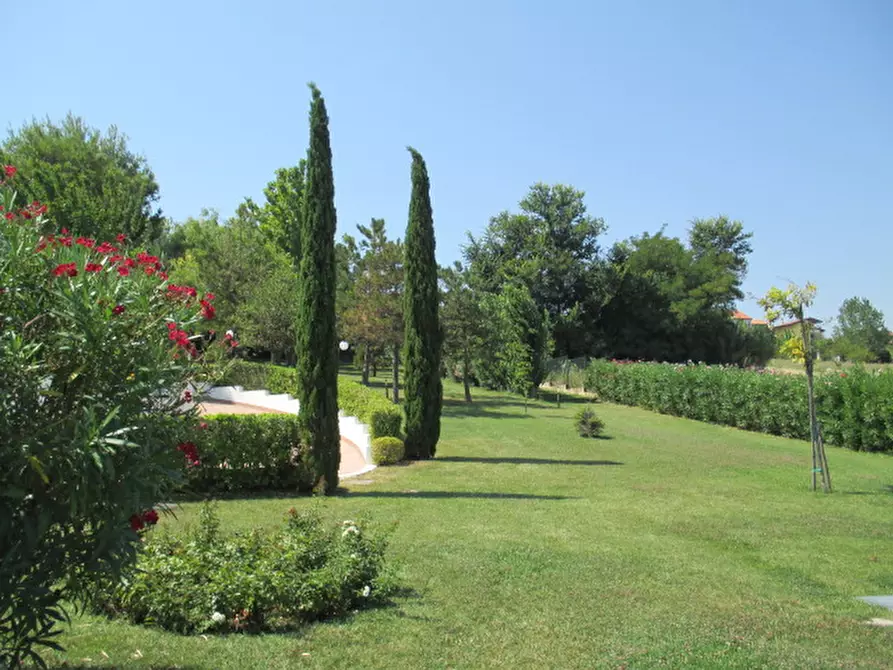 Immagine 14 di Casa indipendente in vendita  a Senigallia