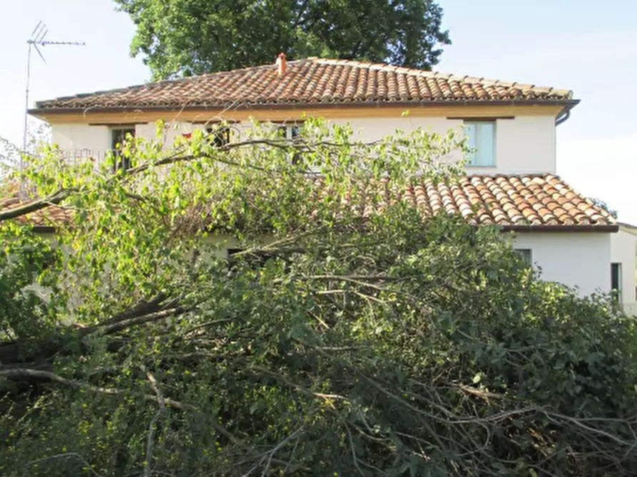 Immagine 1 di Rustico / casale in vendita  a Ostra