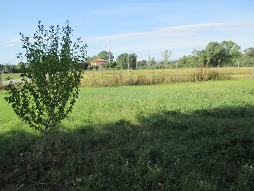 Immagine 38 di Rustico / casale in vendita  a Ostra