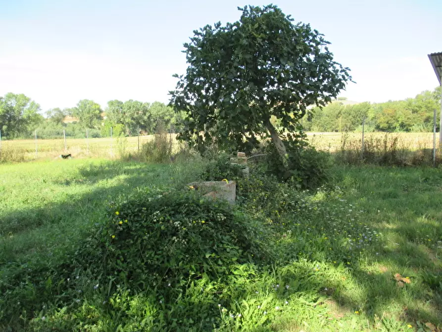 Immagine 39 di Rustico / casale in vendita  a Ostra