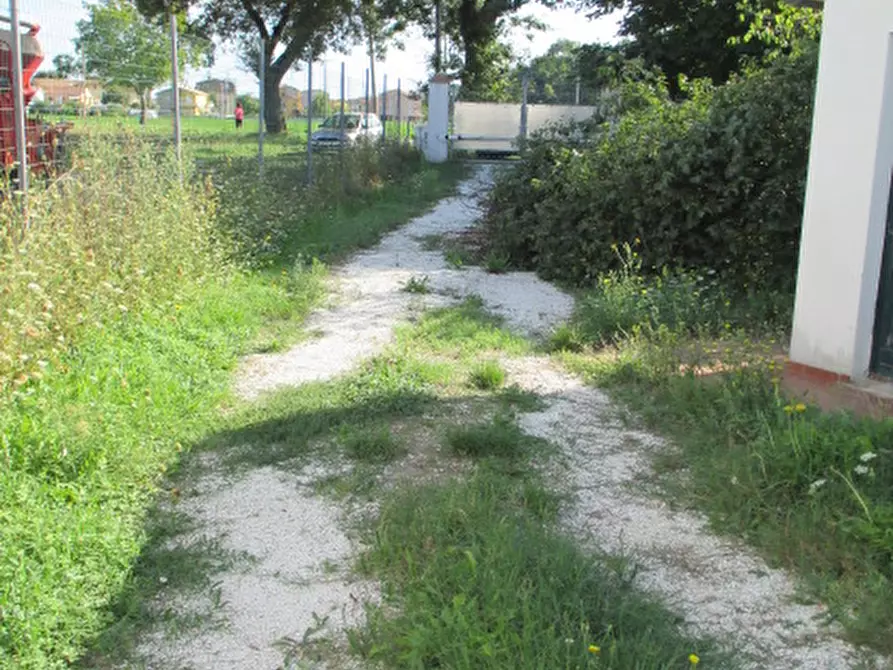 Immagine 44 di Rustico / casale in vendita  a Ostra