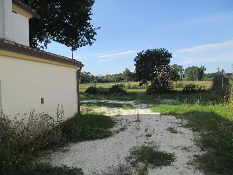 Immagine 46 di Rustico / casale in vendita  a Ostra