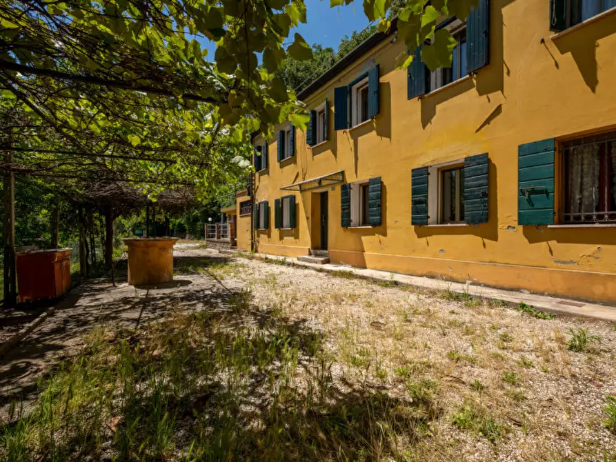 Immagine 4 di Casa indipendente in vendita  in via Montericco a Monselice