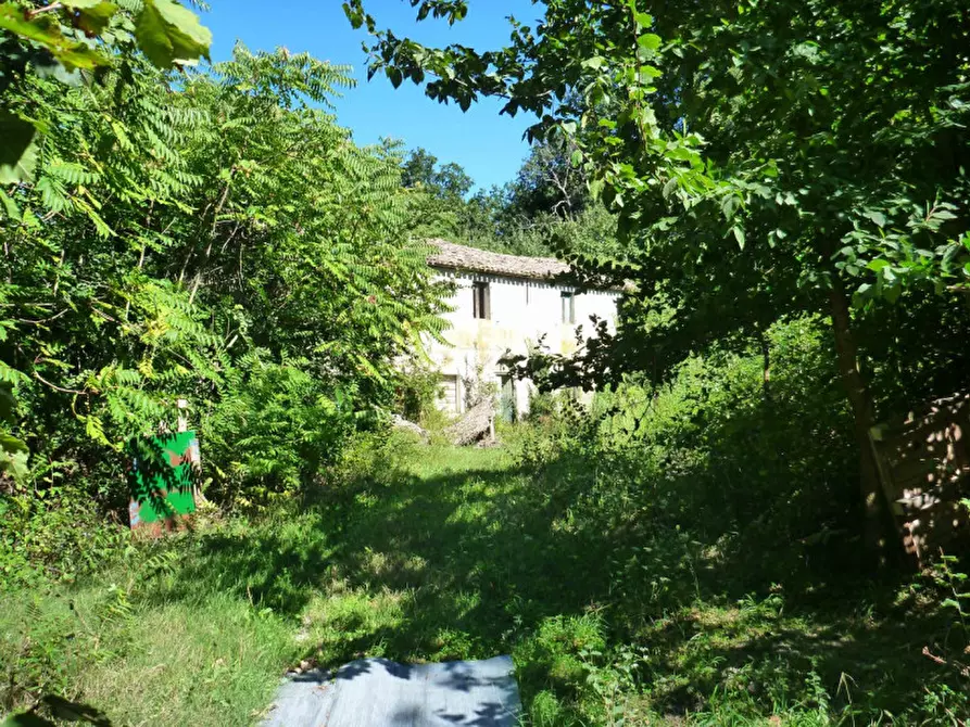 Immagine 2 di Rustico / casale in vendita  in Strada provinciale 123 a San Costanzo