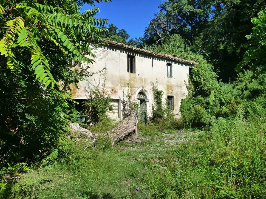Immagine 1 di Rustico / casale in vendita  in Strada provinciale 123 a San Costanzo