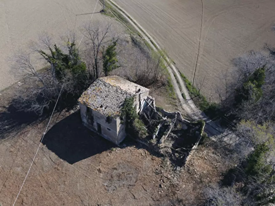 Immagine 2 di Rustico / casale in vendita  in Strada provinciale 123 a San Costanzo