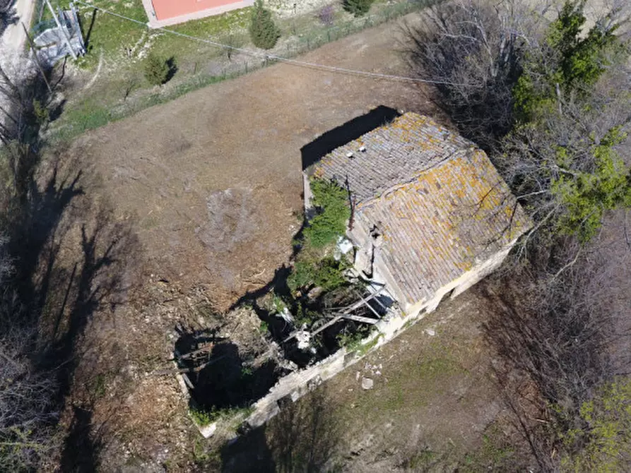 Immagine 3 di Rustico / casale in vendita  in Strada provinciale 123 a San Costanzo
