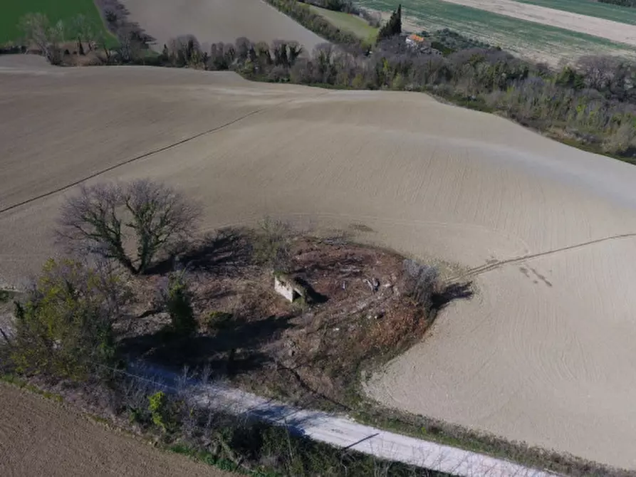 Immagine 2 di Rustico / casale in vendita  in Strada provinciale 123 a San Costanzo