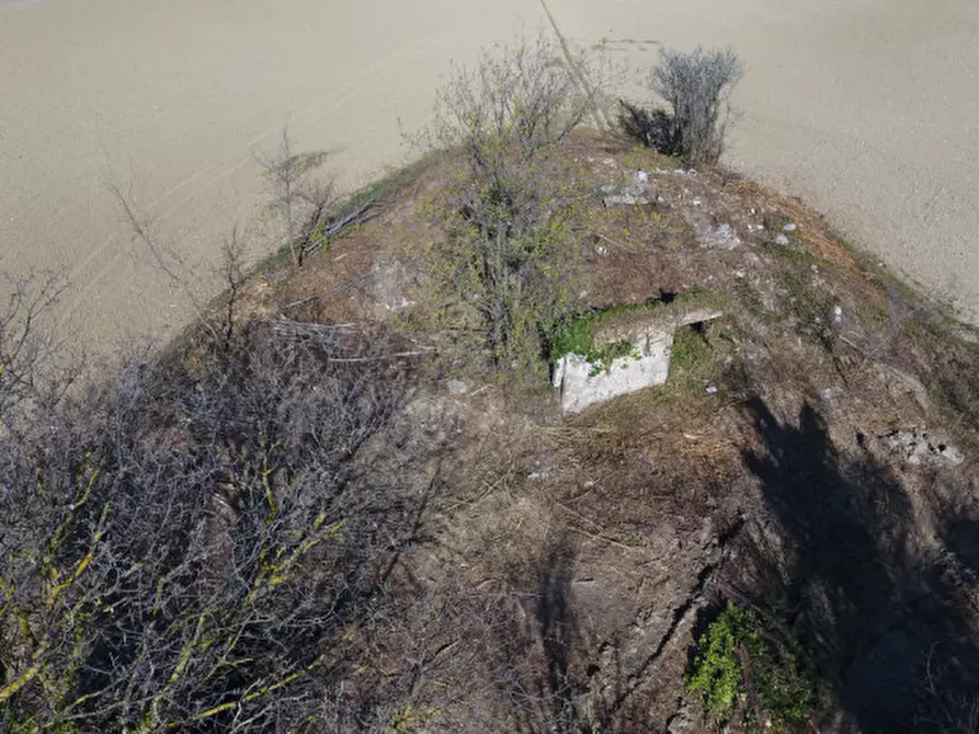 Immagine 3 di Rustico / casale in vendita  in Strada provinciale 123 a San Costanzo