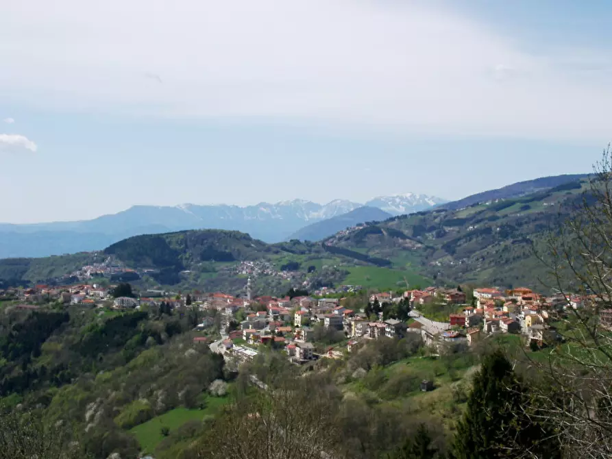 Immagine 1 di Terreno in vendita  in conco a Lusiana Conco