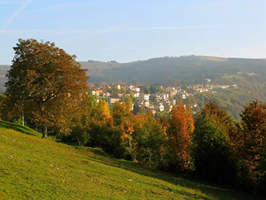 Immagine 2 di Terreno in vendita  in conco a Lusiana Conco