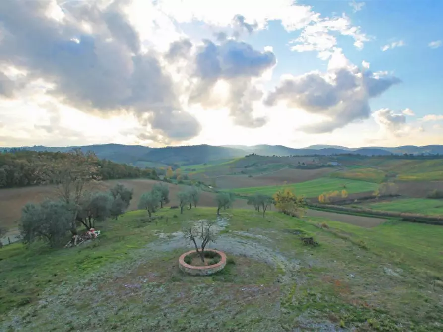 Immagine 4 di Rustico / casale in vendita  in località selvanelli a Torrita Di Siena