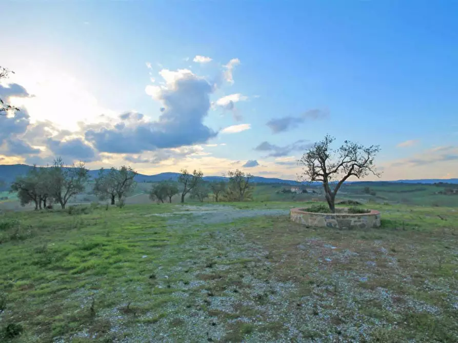 Immagine 41 di Rustico / casale in vendita  in località selvanelli a Torrita Di Siena