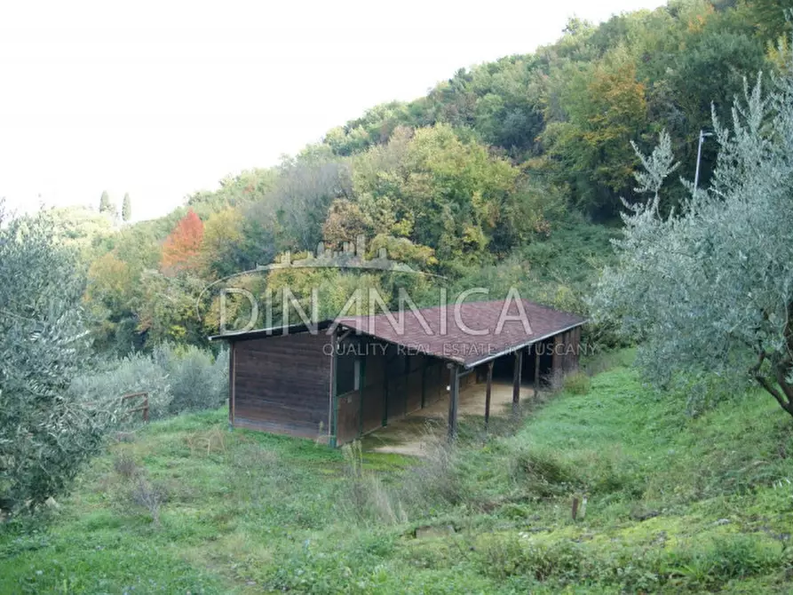 Immagine 16 di Rustico / casale in vendita  a Quarrata