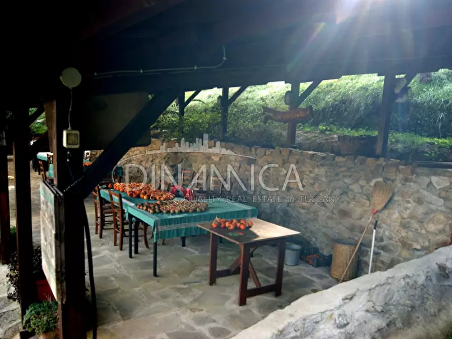 Immagine 22 di Rustico / casale in vendita  a Quarrata