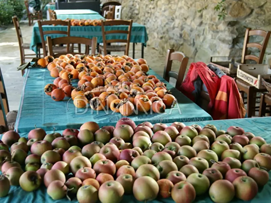 Immagine 23 di Rustico / casale in vendita  a Quarrata