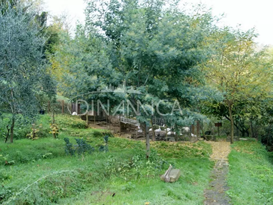 Immagine 41 di Rustico / casale in vendita  a Quarrata