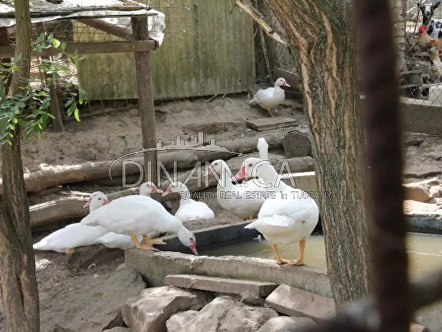 Immagine 46 di Rustico / casale in vendita  a Quarrata