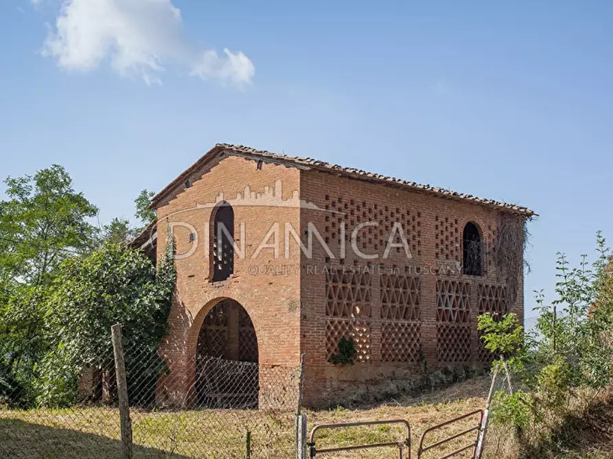 Immagine 3 di Rustico / casale in vendita  a Palaia