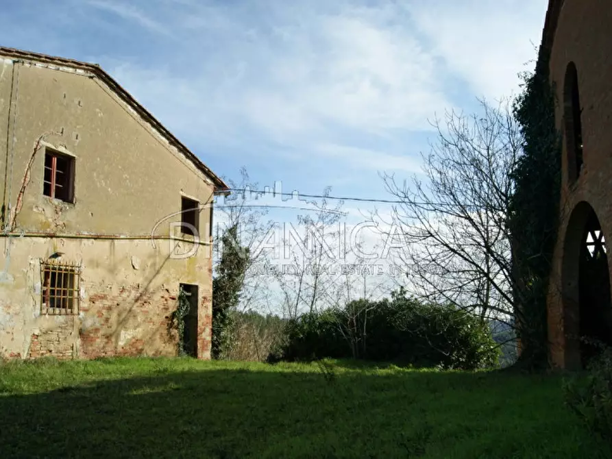 Immagine 6 di Rustico / casale in vendita  a Palaia