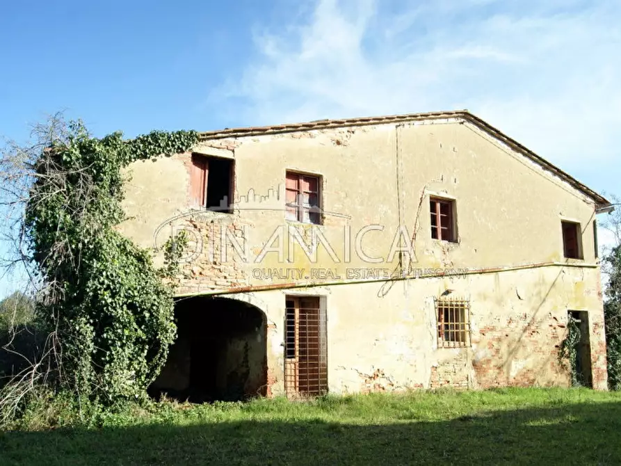 Immagine 7 di Rustico / casale in vendita  a Palaia