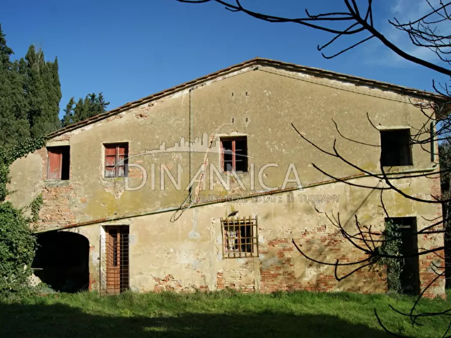 Immagine 9 di Rustico / casale in vendita  a Palaia