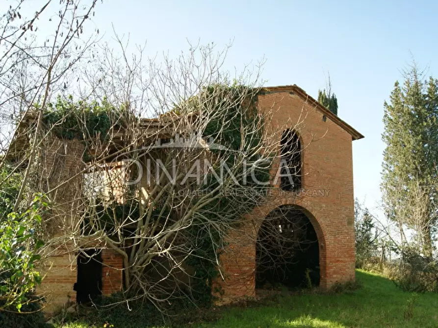 Immagine 12 di Rustico / casale in vendita  a Palaia