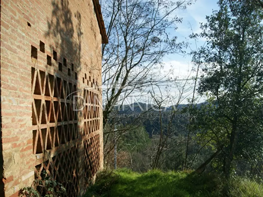 Immagine 13 di Rustico / casale in vendita  a Palaia